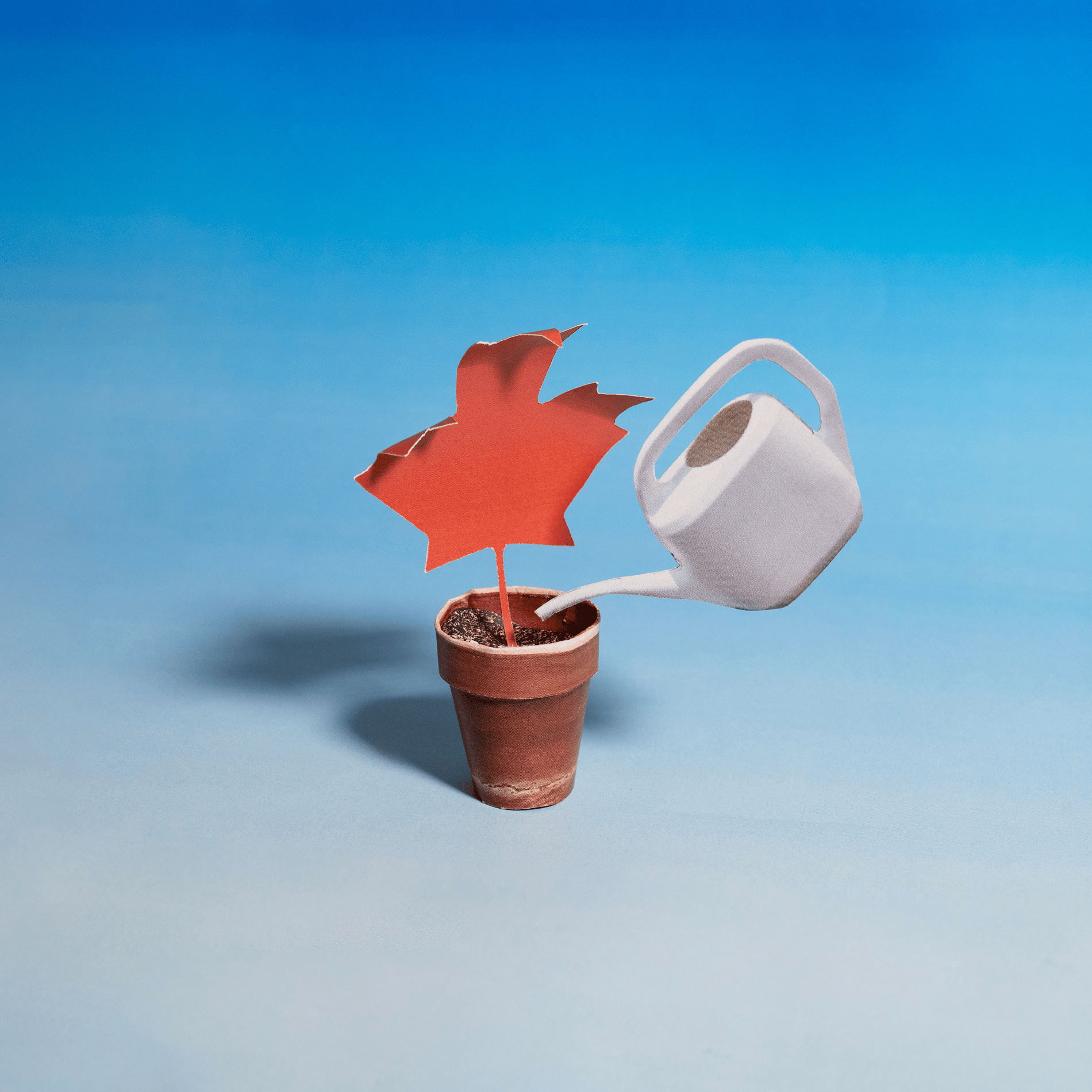 9 Tiny Tweaks to Help Canadian Cities Flourish