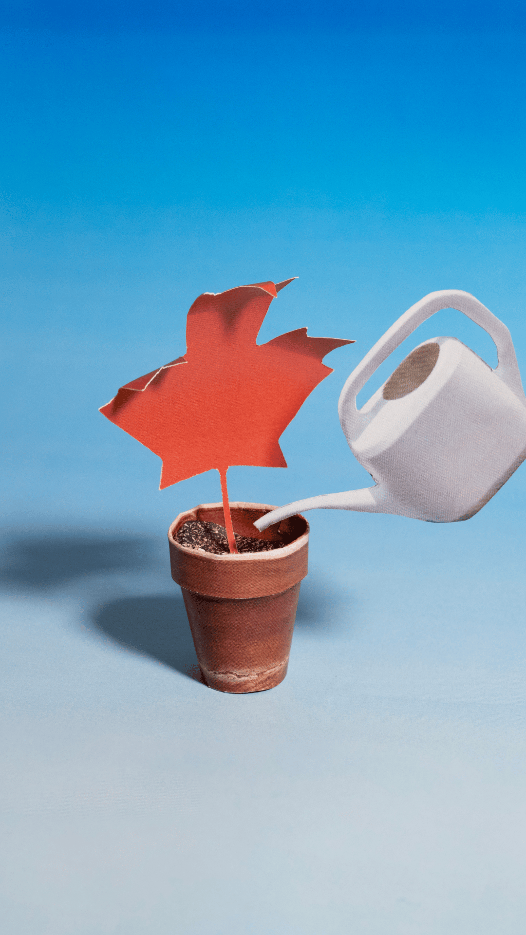 9 Tiny Tweaks to Help Canadian Cities Flourish