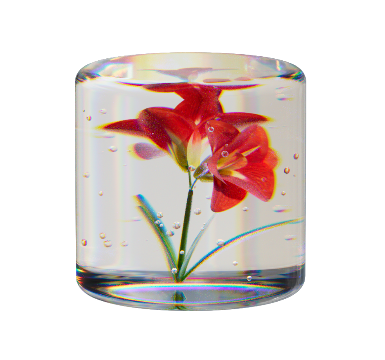 A 3D graphic of a cylinder made of a clear gel-like substance with air bubbles and a botanical red flower inside