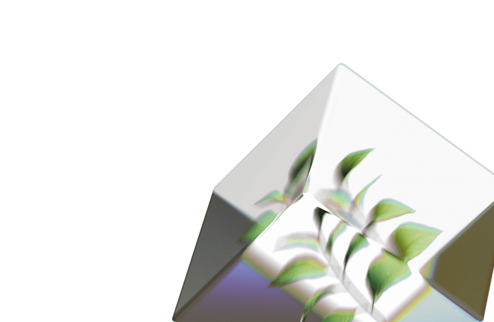 A 3D image of a cube with a plant growing inside