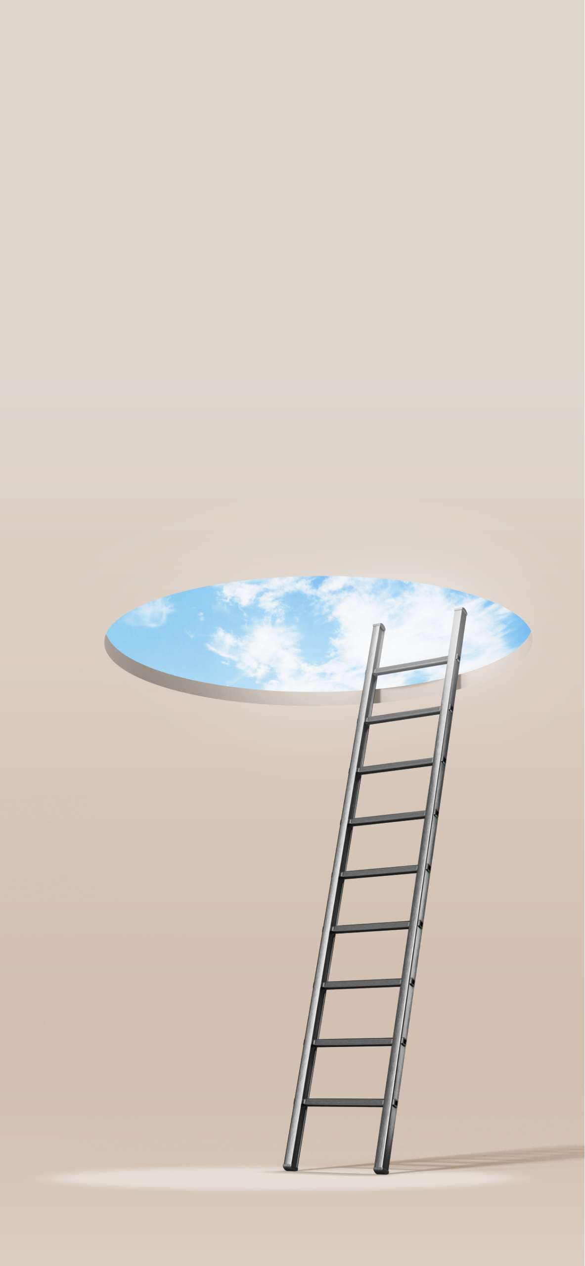 A ladder leading up to a hole in the ceiling and a blue sky.